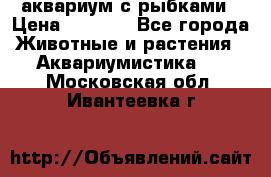 аквариум с рыбками › Цена ­ 1 000 - Все города Животные и растения » Аквариумистика   . Московская обл.,Ивантеевка г.